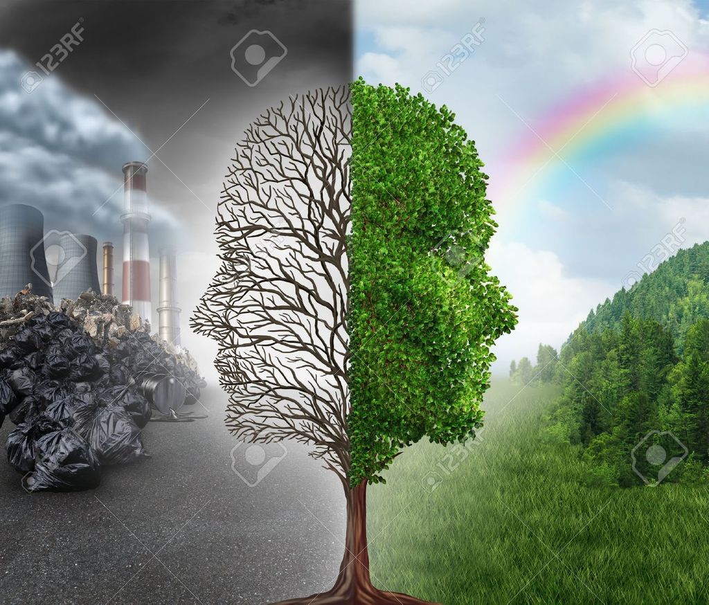 Learning to Balance Man-made and Natural Environments
